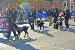 AlphaBravoCanineCastaldi1