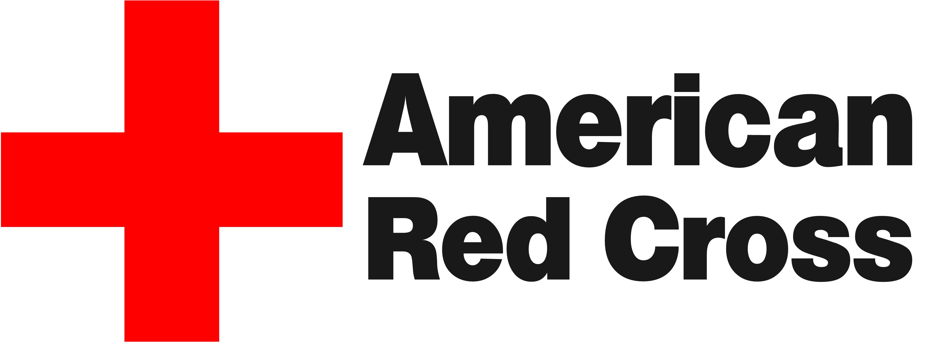 The American Red Cross Audit